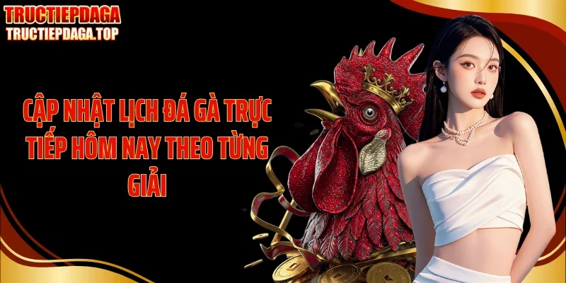 Cập nhật lịch đá gà trực tiếp hôm nay theo từng giải