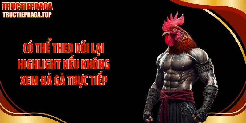 Có thể theo dõi lại highlight nếu không xem đá gà trực tiếp