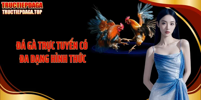 Đá gà trực tuyến có nhiều hình thức cuốn hút