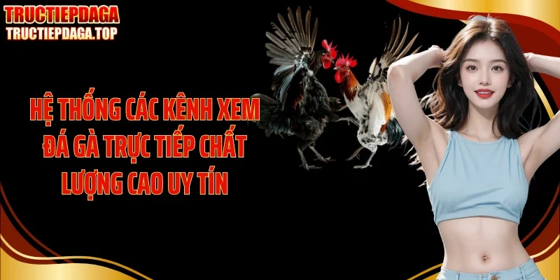 Hệ thống các kênh xem đá gà trực tiếp chất lượng cao uy tín