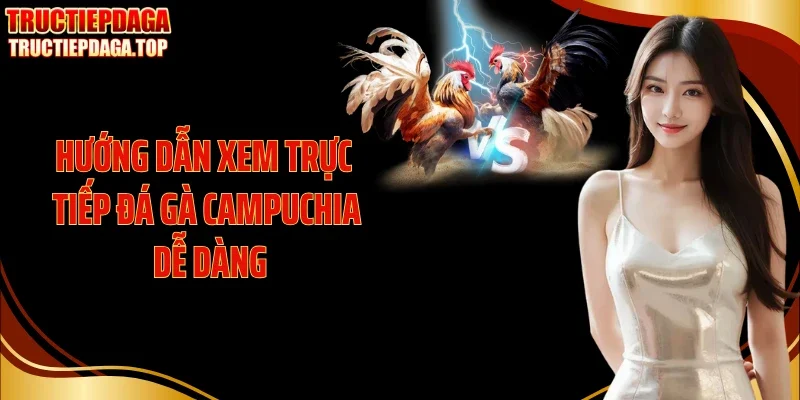 Hướng dẫn xem trực tiếp đá gà Campuchia dễ dàng