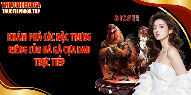 Khám phá các đặc trưng riêng của đá gà cựa dao trực tiếp