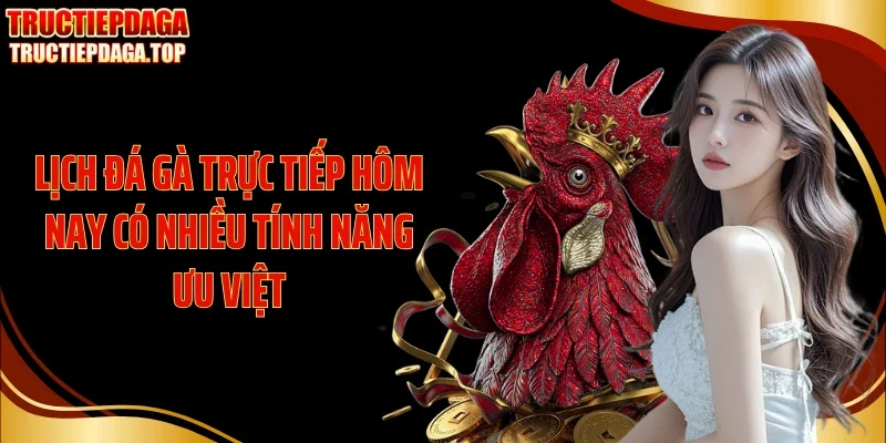 Lịch đá gà trực tiếp hôm nay có nhiều tính năng ưu việt