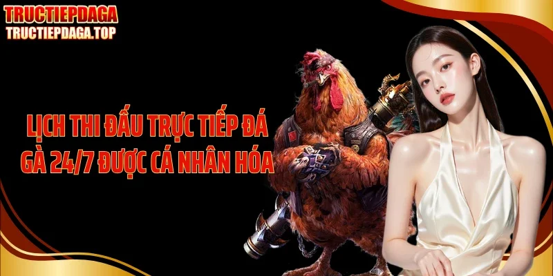 Lịch thi đấu trực tiếp đá gà 24/7 được cá nhân hóa