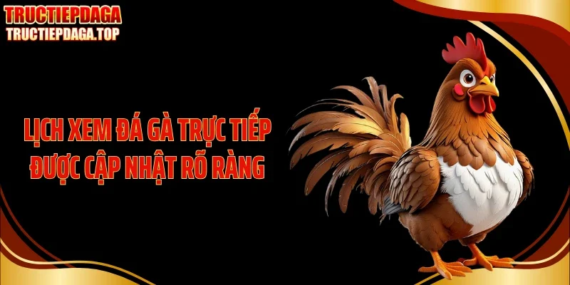 Lịch xem đá gà trực tiếp được cập nhật rõ ràng