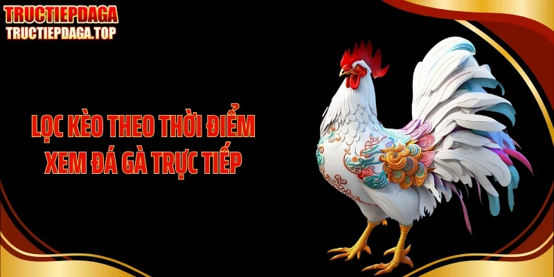 Lọc kèo theo thời điểm xem đá gà trực tiếp