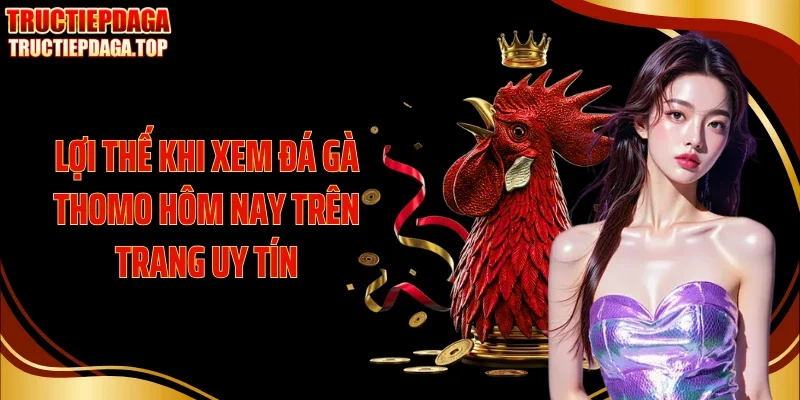 Lợi thế khi xem đá gà Thomo hôm nay trên trang uy tín