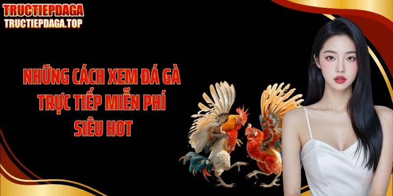Những cách xem đá gà trực tiếp miễn phí siêu hot