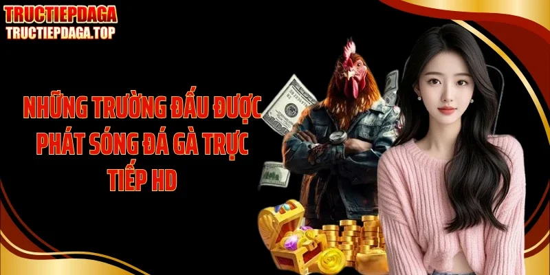 Những trường đấu được phát sóng đá gà trực tiếp HD