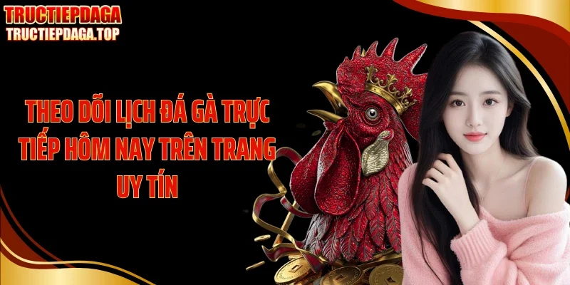 Theo dõi lịch đá gà trực tiếp hôm nay trên trang uy tín