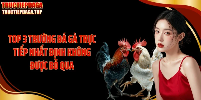 Top 3 trường đá gà trực tiếp nhất định không được bỏ qua