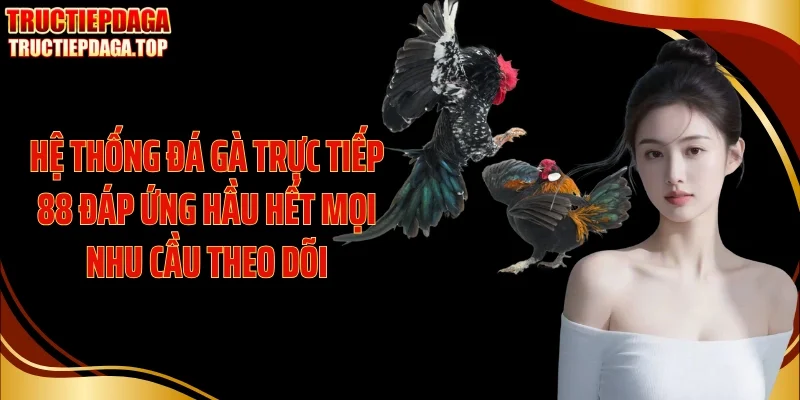 Hệ thống Đá gà trực tiếp 88 đáp ứng hầu hết mọi nhu cầu theo dõi