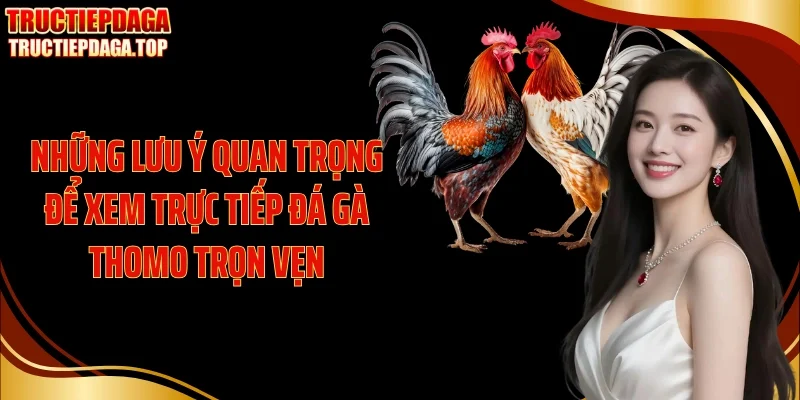 Những lưu ý quan trọng để xem trực tiếp đá gà thomo trọn vẹn
