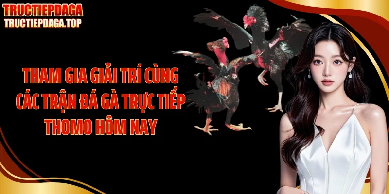 Tham gia giải trí cùng các trận đá gà trực tiếp thomo hôm nay