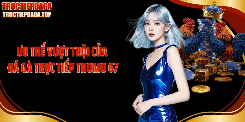 Ưu thế vượt trội của đá gà trực tiếp thomo 67