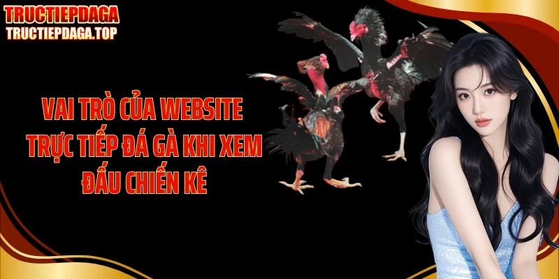 Vai trò của website trực tiếp đá gà khi xem đấu chiến kê